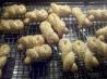 Sesame Greek Easter Cookies (Koulourakia). Photo by ftcollins