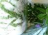 Vanilla or Herb Sugar