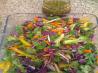 Whalin's Low-Fat Asian Salad. Recipe by Papagayita
