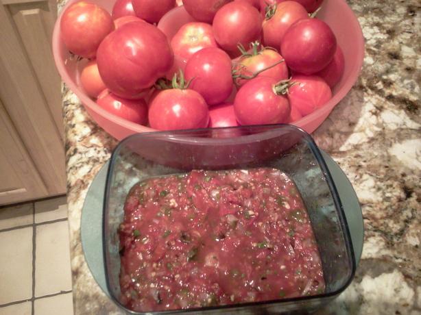 Chevy's Salsa - Original Recipe. Photo by bratkiss