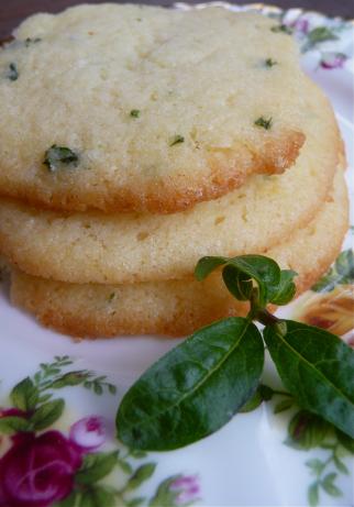 Ellen's Lemon Verbena - Herbal Gardens - Longmeadow. Photo by Cookgirl