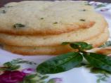 Ellen's Lemon Verbena - Herbal Gardens - Longmeadow