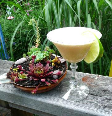 Virgin Margarita. Photo by Mikekey