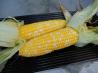 Baked Corn on the Cob. Recipe by Debbwl