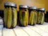 Stevia Sweet Pickles for Canning