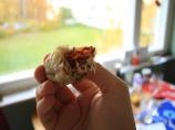 Deep Fried Mars Bars