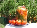 Russian Pickled Tomatoes