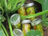 Zucchini Relish Sweet and Tangy