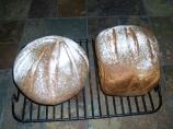Non-Dense Delicious Whole Wheat Bread. Photo by Red Apple Guy