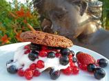 Chocolate Shortcakes With Mixed Berries and Raspberry Sauce