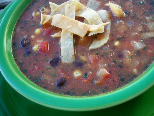 Crockpot Black Bean Tortilla Soup. Photo by *Parsley*