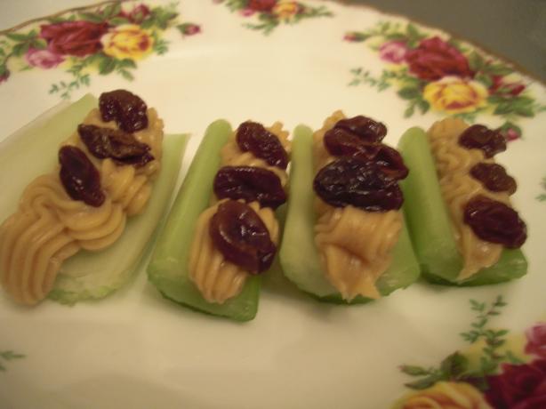 Fancy Ants on a Log. Photo by Rowenna