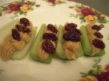 Fancy Ants on a Log