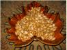 Pumpkin Seeds
