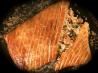 Salmon Wrapped in Pastry With Rice