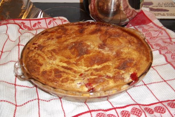 Easy Cranberry & Apple Cake. Photo by JenBlanchette