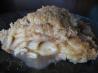 Dutch Apple Pie