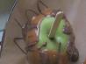 Caramel Apples