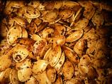 Hon's Roasted Pumpkin Seeds