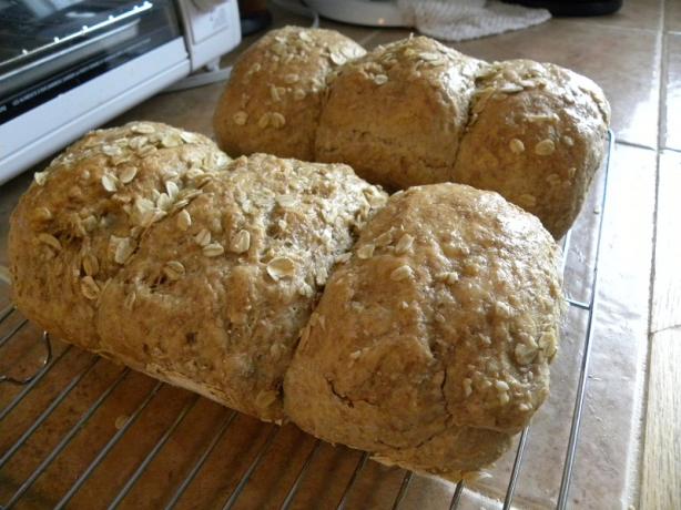 Oatmeal Wholewheat Bread. Photo by haven't the slightest
