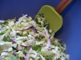 Cilantro-Lime Coleslaw