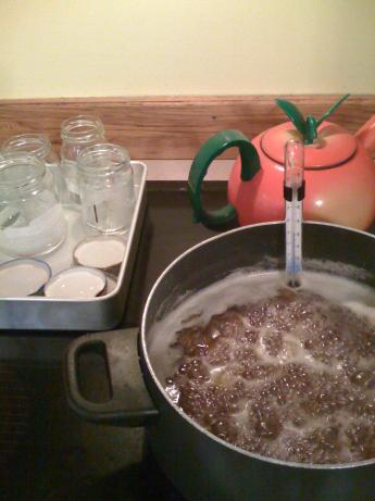 Rhubarb Jam. Photo by LaurietheLibrarian