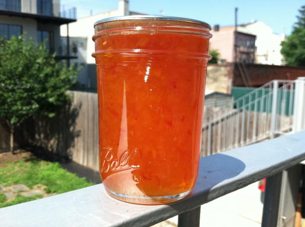 Habanero Apricot Jelly. Photo by xtine