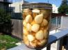 Pickled Garlic. Recipe by xtine