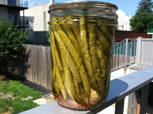 Dilly Beans. Photo by xtine