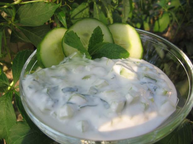 Yogurt Salad (Jajeek). Photo by K9 Owned