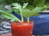 True Wisconsin Bloody Mary. Recipe by AZPARZYCH
