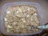 Macaroni Tuna Salad. Recipe by robingracejohnson