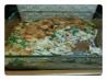 Tuna Noodle Casserole. Recipe by robingracejohnson