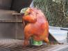 Heineken in the Hiney Chicken