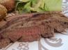 Mongolian Flank Steak from Cuisine Lite. Recipe by Ashley Vinyard