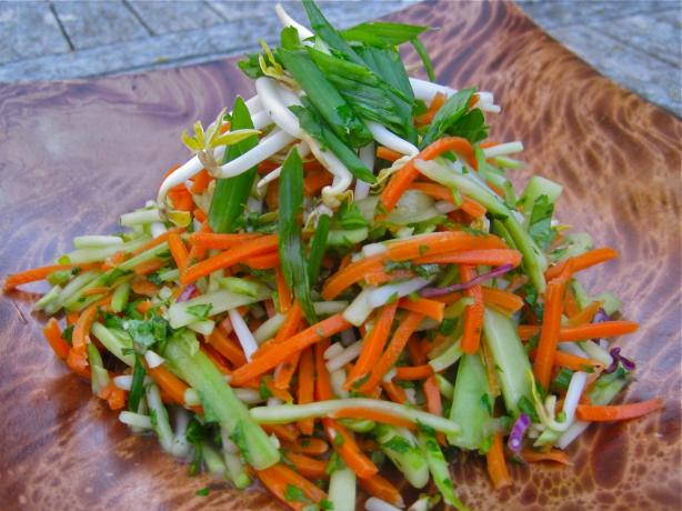 Vegan Carrot Broccoli and Bean Shoot Salad. Photo by The Blender Girl
