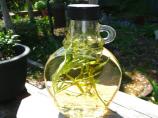 Tarragon Vinegar