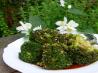 Sesame Broccoli