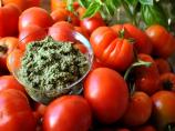 Fresh Basil Pesto - Freezer Directions