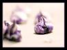 Meringue Cookies