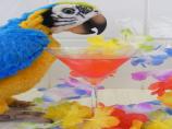 Lychee Lady Cocktail &ndash; a Tropical Martini from the Island