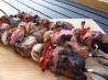 Grilled Pork and Mushroom Skewers. Recipe by Papa D 1946-2012