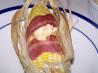Barbecued Corn on the Cob W/Bacon and Chili Butter. Recipe by Deantini