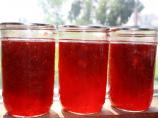 Strawberry Rhubarb Jam (Liquid Certo)
