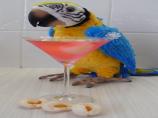 Lychee Lady Cocktail &ndash; a Tropical Martini from the Island 