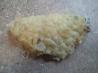 Bacon and Chicken Pastry Pockets. Recipe by chelseywhitfield
