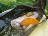 Chicken & Coconut in Banana Leaves. Recipe by ElleFirebrand