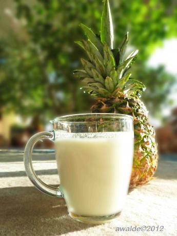Frosty Pineapple Nog. Photo by awalde