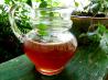 Lemony Iced Tea. Recipe by Sydney Mike