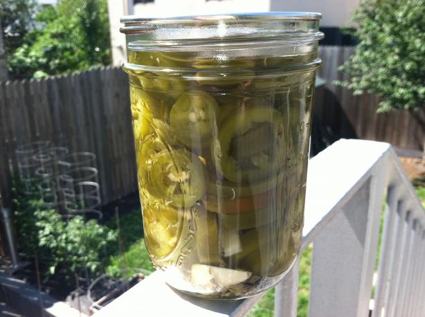 Crunchy Pickled Jalapeno Rings (Made With Pickling Lime). Photo by xtine